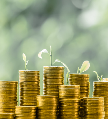 IBEC invests in stability