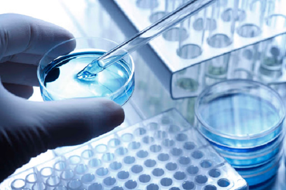 IBEC supports export of Polish pharmaceuticals