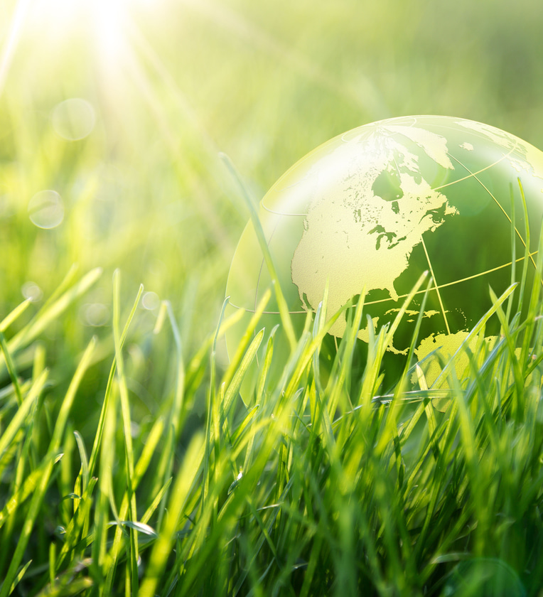 IBEC votes for green investments
